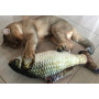 Игрушка рыбка для котика с мятой карп для кота мягкая рыба для кошки 40 см.